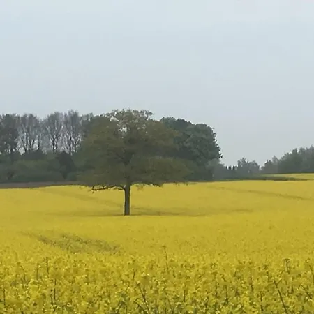 Eskaerhus Pa Tasinge, Taet Pa Svendborg - Afdeling Med Egen Indgang Troense