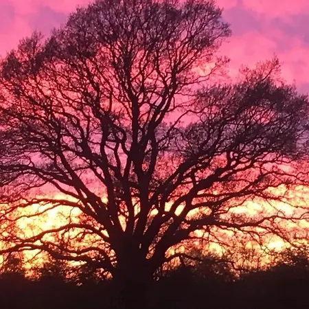 Appartamento Eskaerhus Pa Tasinge, Taet Pa Svendborg - Afdeling Med Egen Indgang