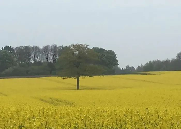 Eskaerhus Pa Tasinge, Taet Pa Svendborg - Afdeling Med Egen Indgang Troense