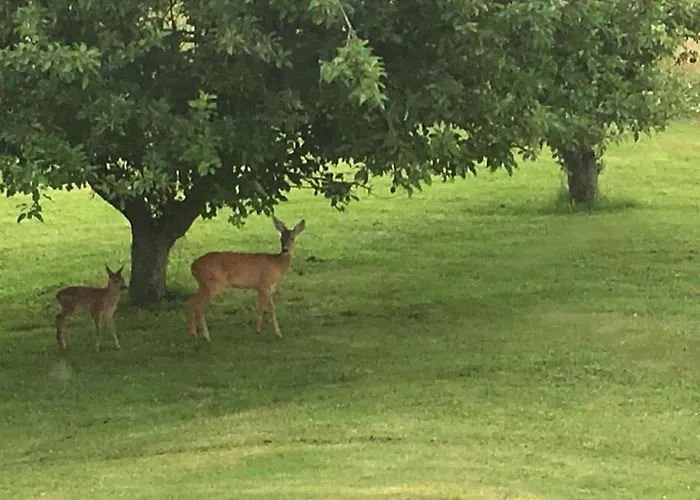 Διαμέρισμα Eskaerhus Pa Tasinge, Taet Pa Svendborg - Afdeling Med Egen Indgang *