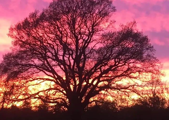 Διαμέρισμα Eskaerhus Pa Tasinge, Taet Pa Svendborg - Afdeling Med Egen Indgang